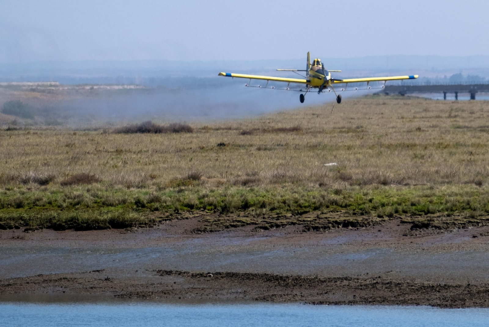 Una avioneta de la Diputación fumiga las marismas onubenses.