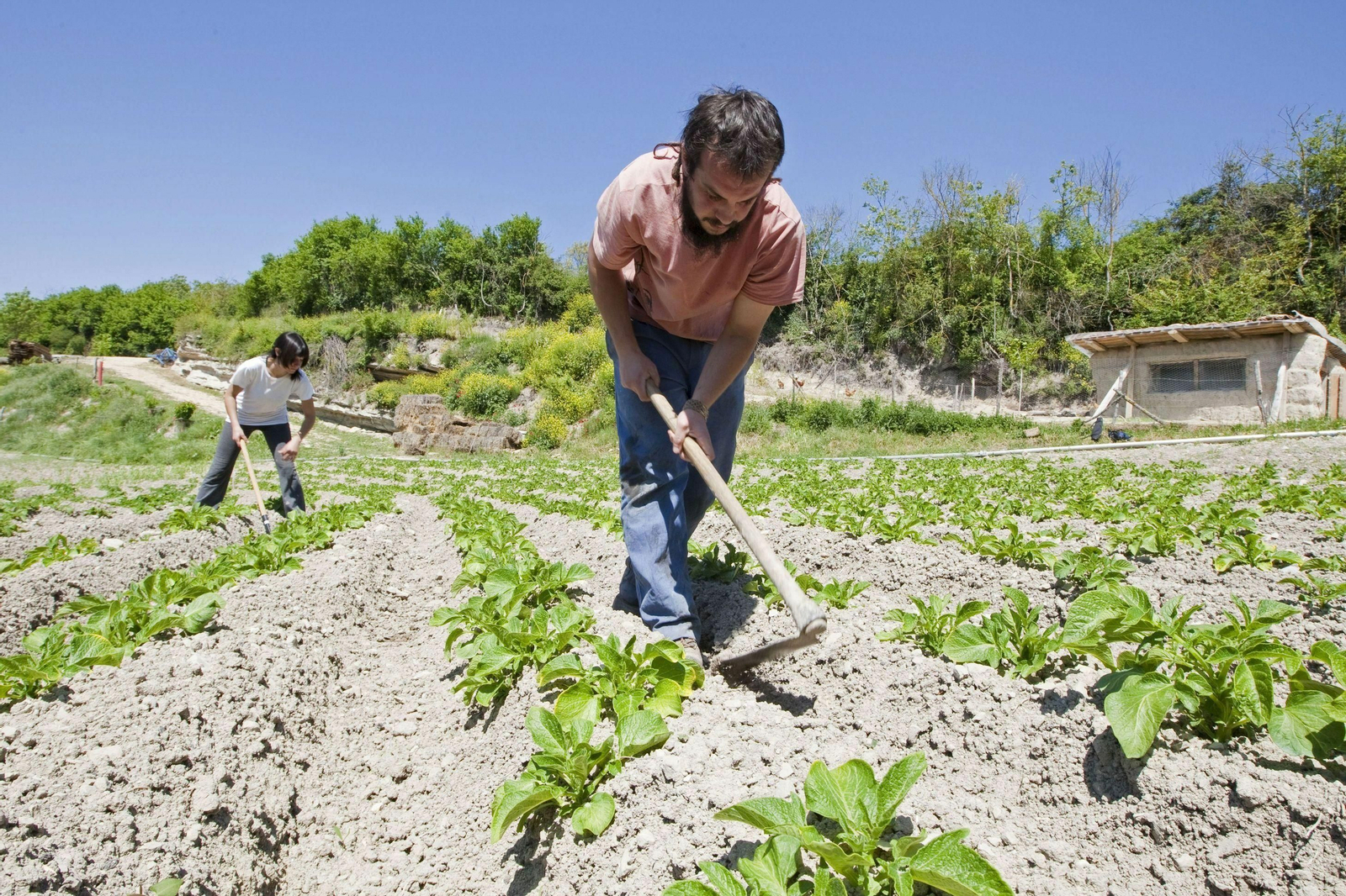Unos jóvenes trabajan en su explotación agrícola.