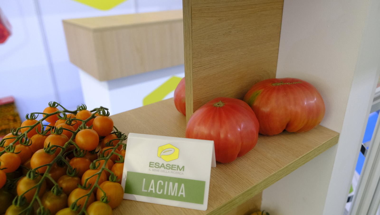 Imágenes del segundo día de Expolevante Níjar 2024