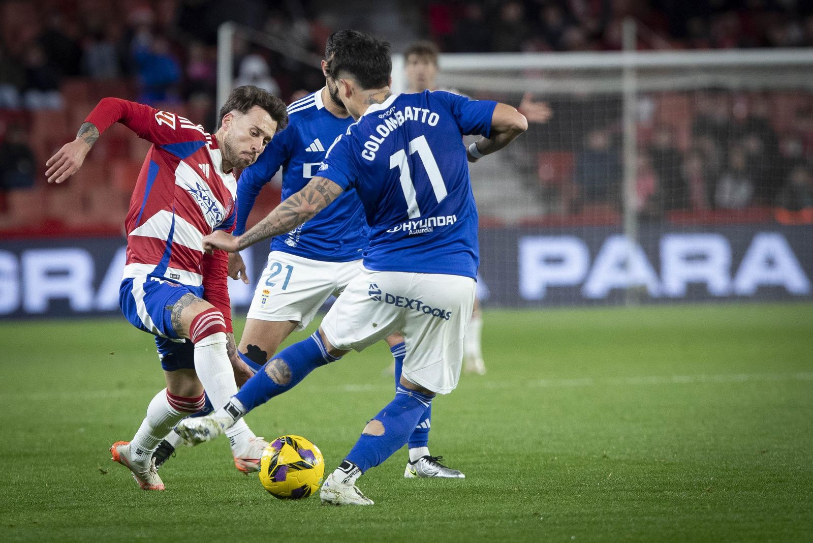 Las mejores imágenes de la victoria del Granada ante el Oviedo