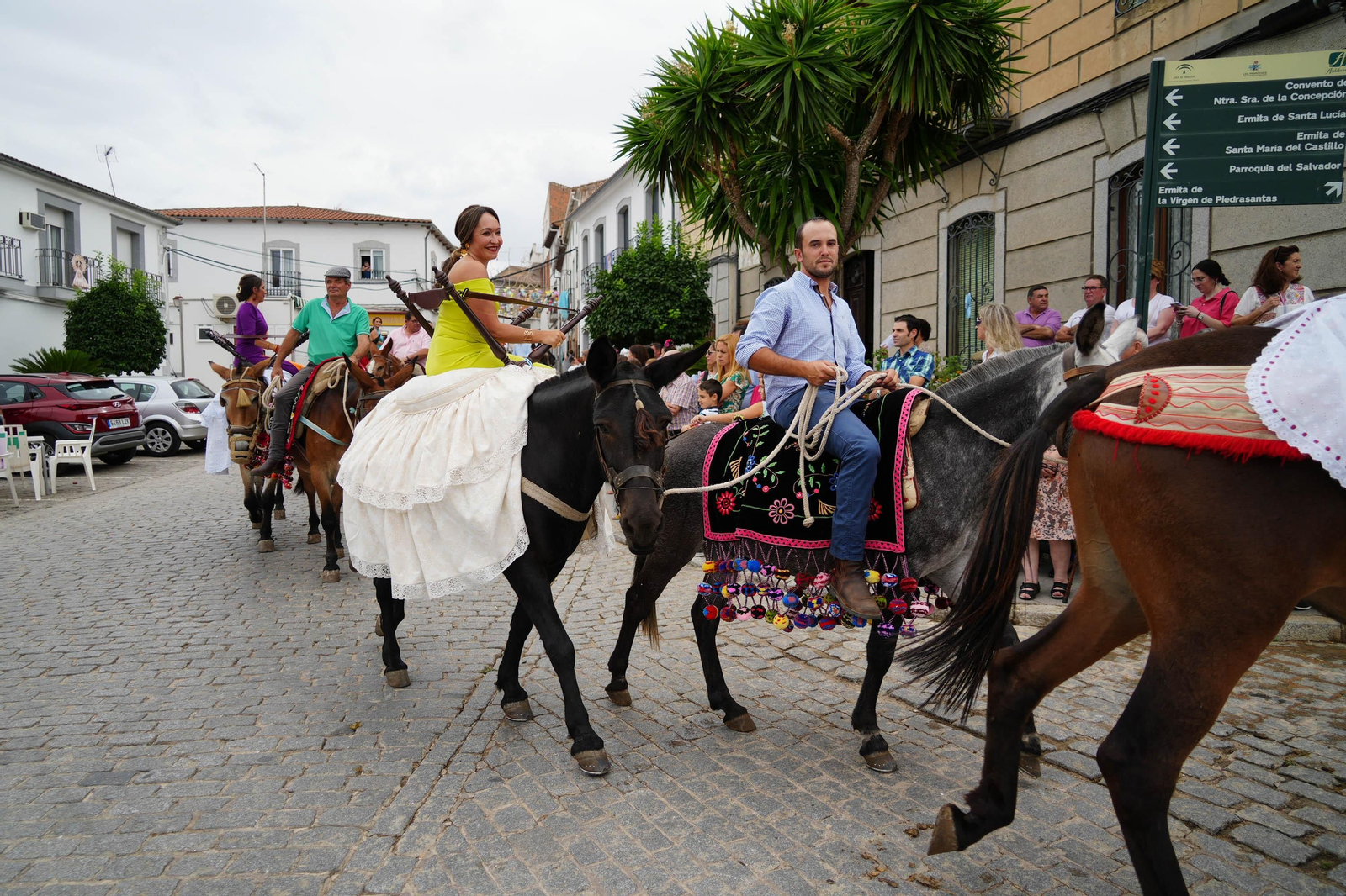 Las mejores imágenes de la Fiesta de los Piostros de Pedroche, la mayor concentración equina de Andalucía