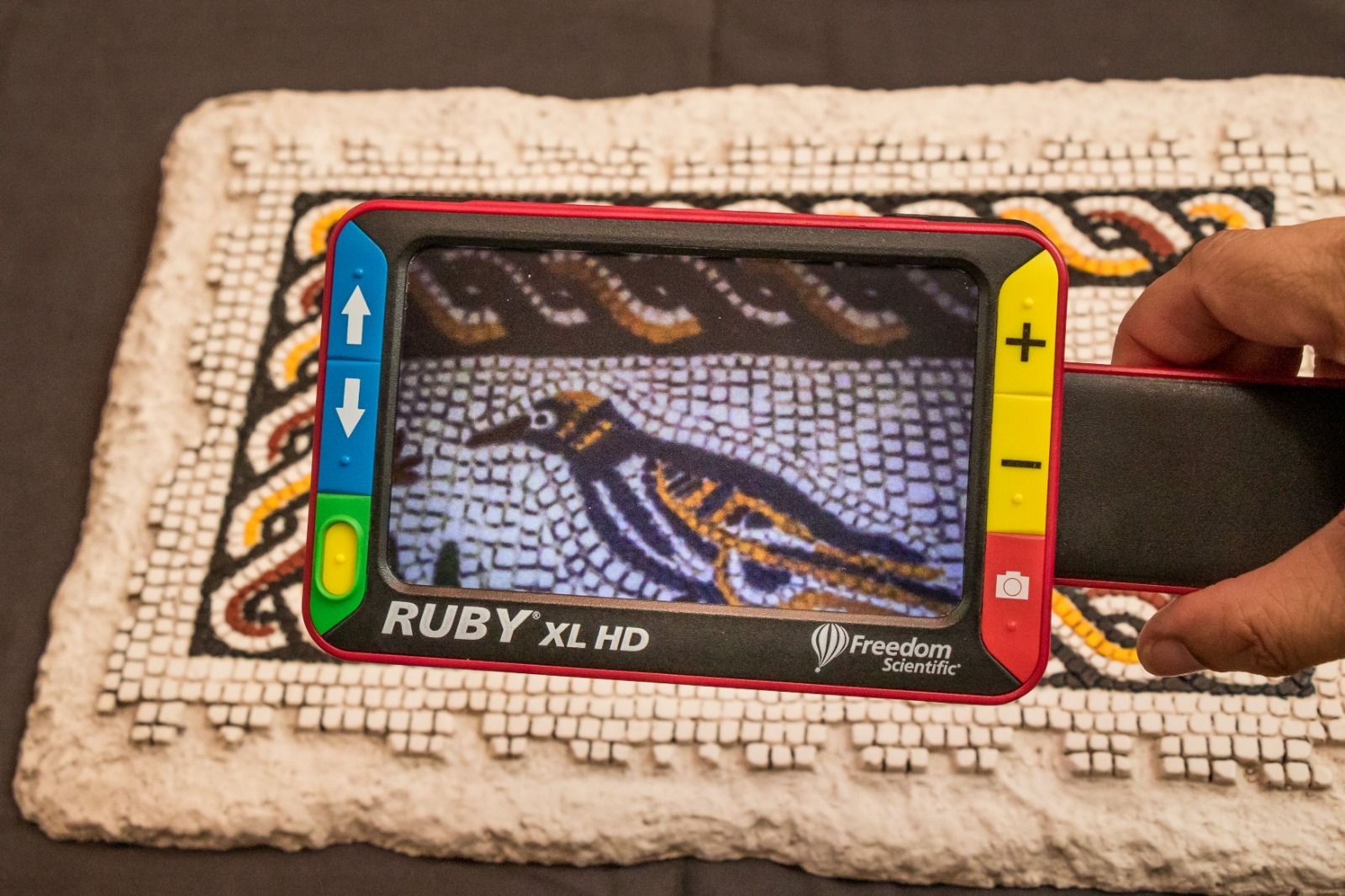 Jornadas europeas de arqueología.