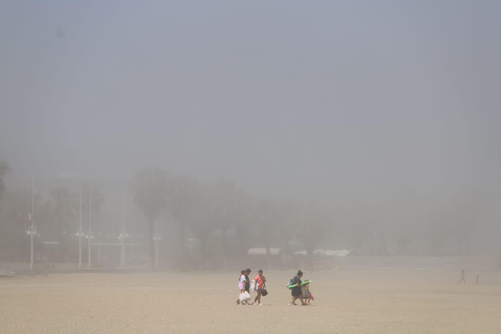 El taró cubre las playas de Málaga capital. El taró cubre las playas de Málaga capital.
