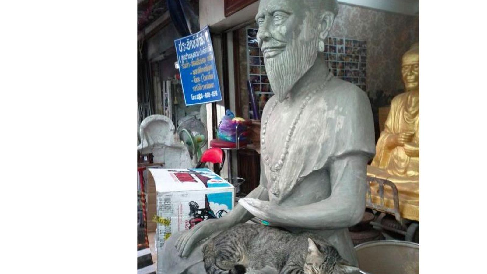 A los gatos les encanta descansar en estatuas