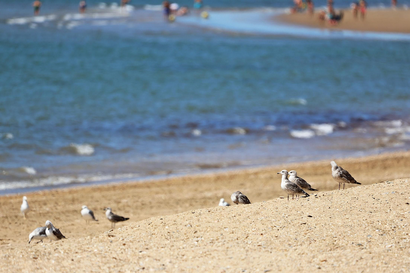 Las imágenes más destacadas del domingo 8 de septiembre en Huelva