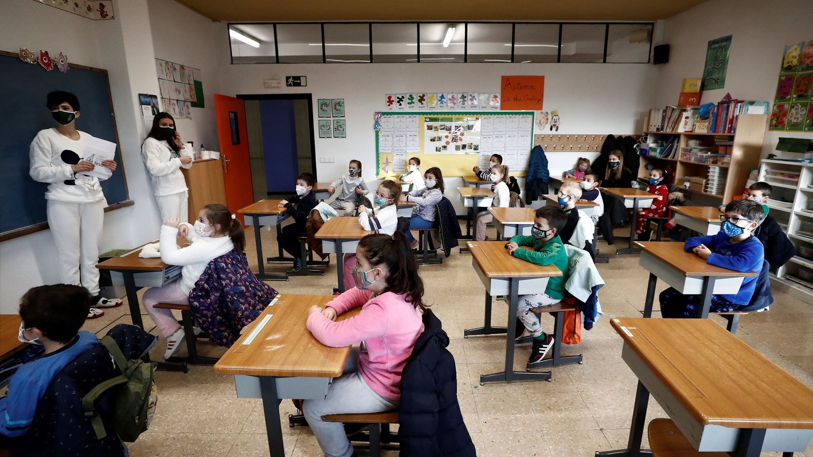 Educación Primaria.