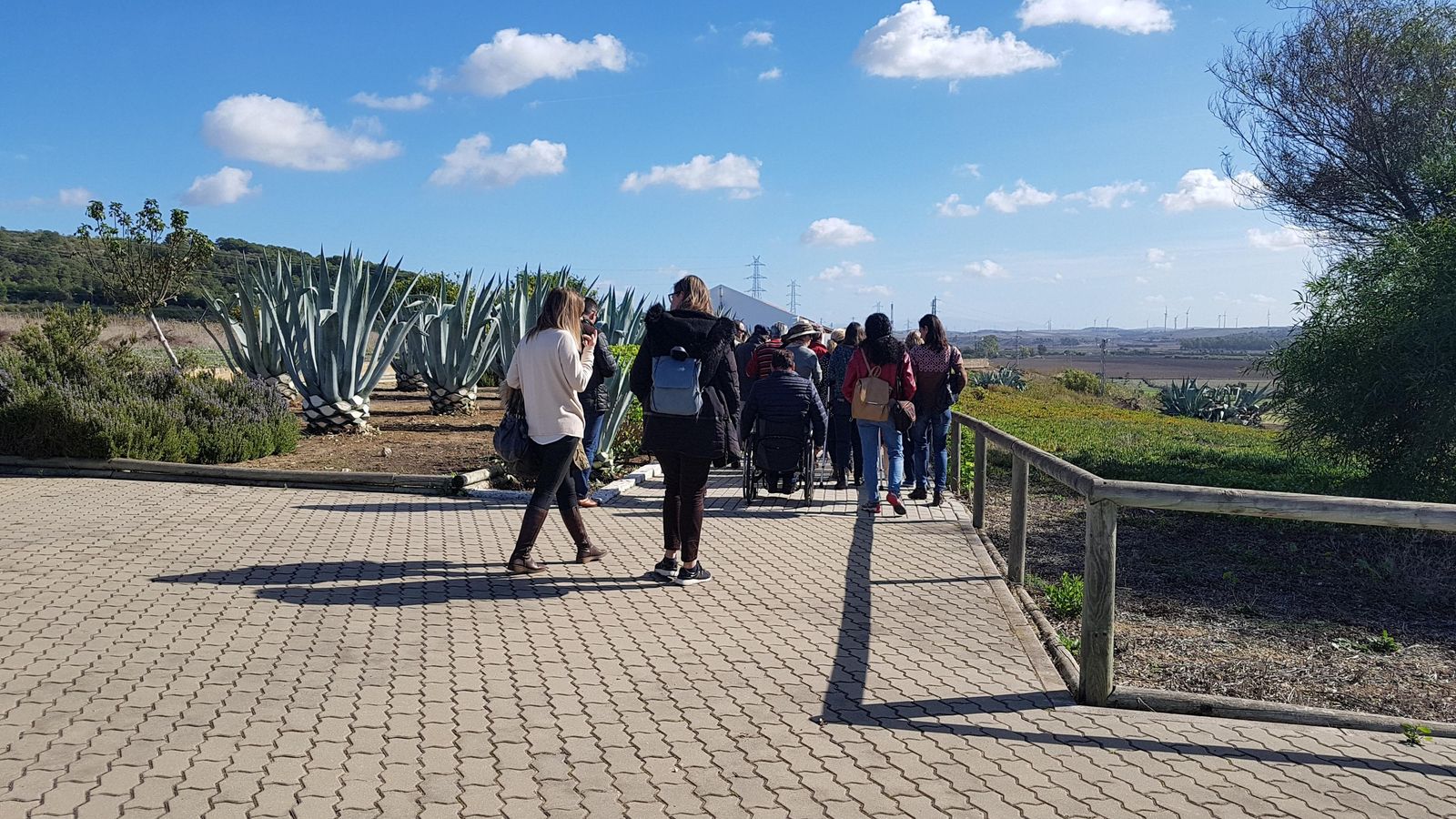 El yacimiento de Doña Blanca, parcialmente habilitado para las visitas.