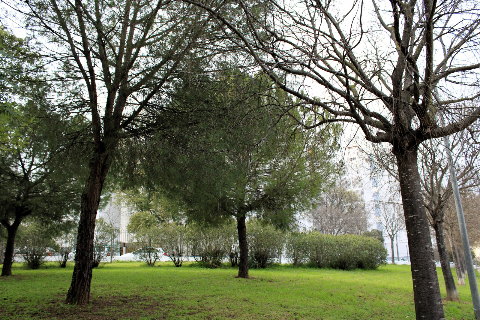 Parque de Vallesequillo