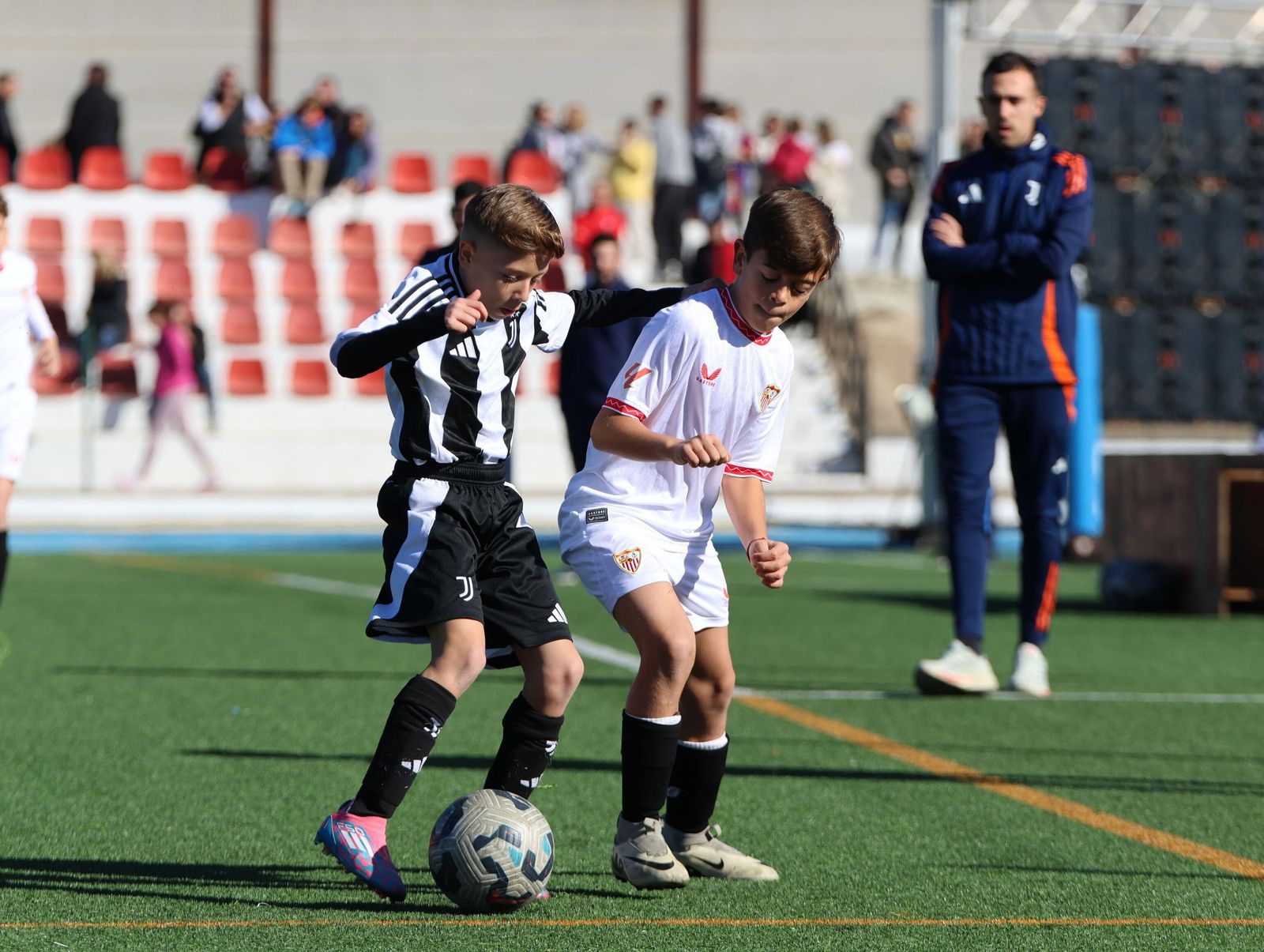 Las mejores imágenes de la jornada final del Torneo Benjamín de Pinos Puente