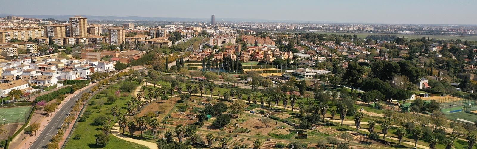 Mairena del Aljarafe