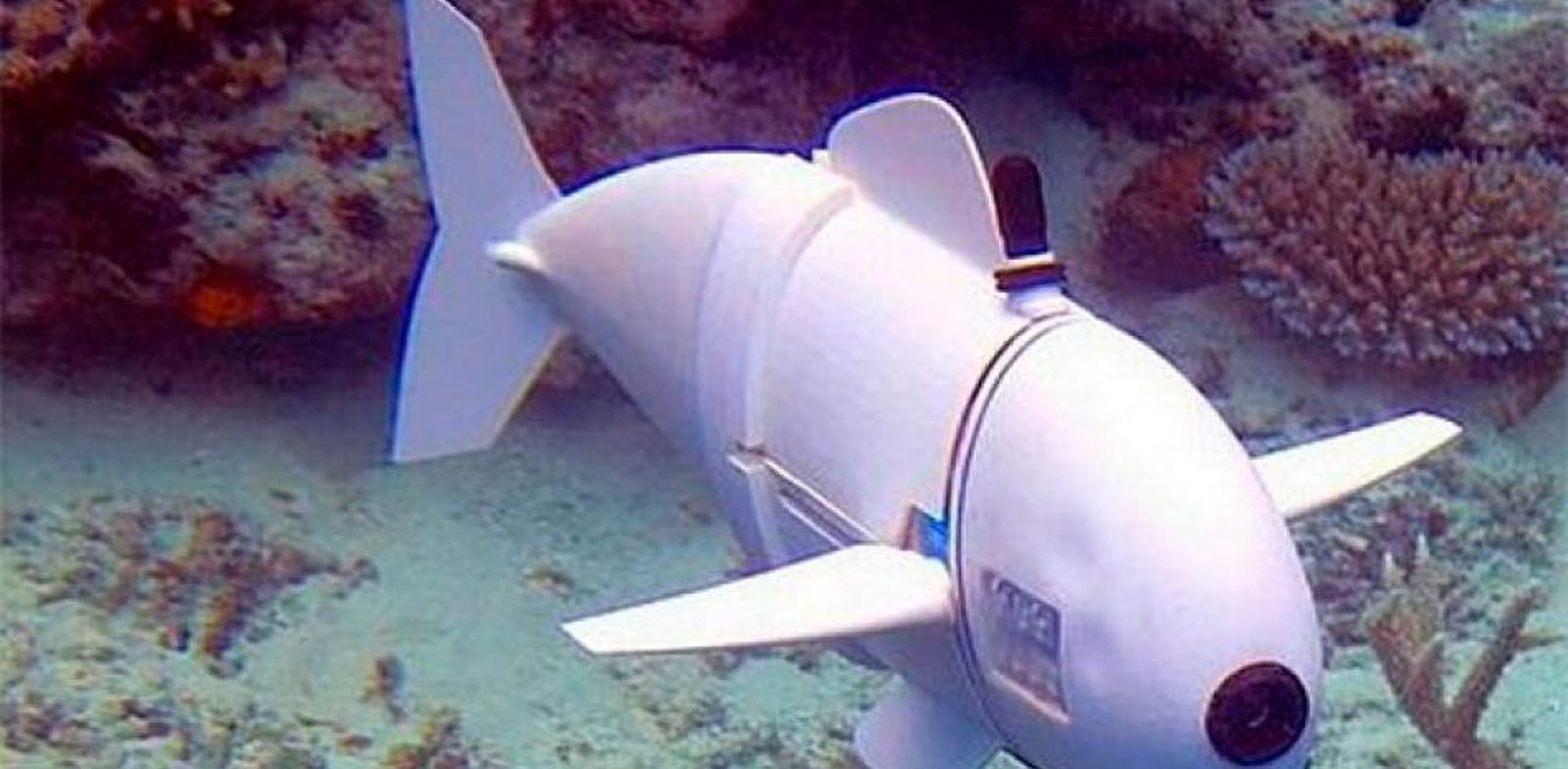 Diseñan un robot para asustar a las especies de peces invasoras