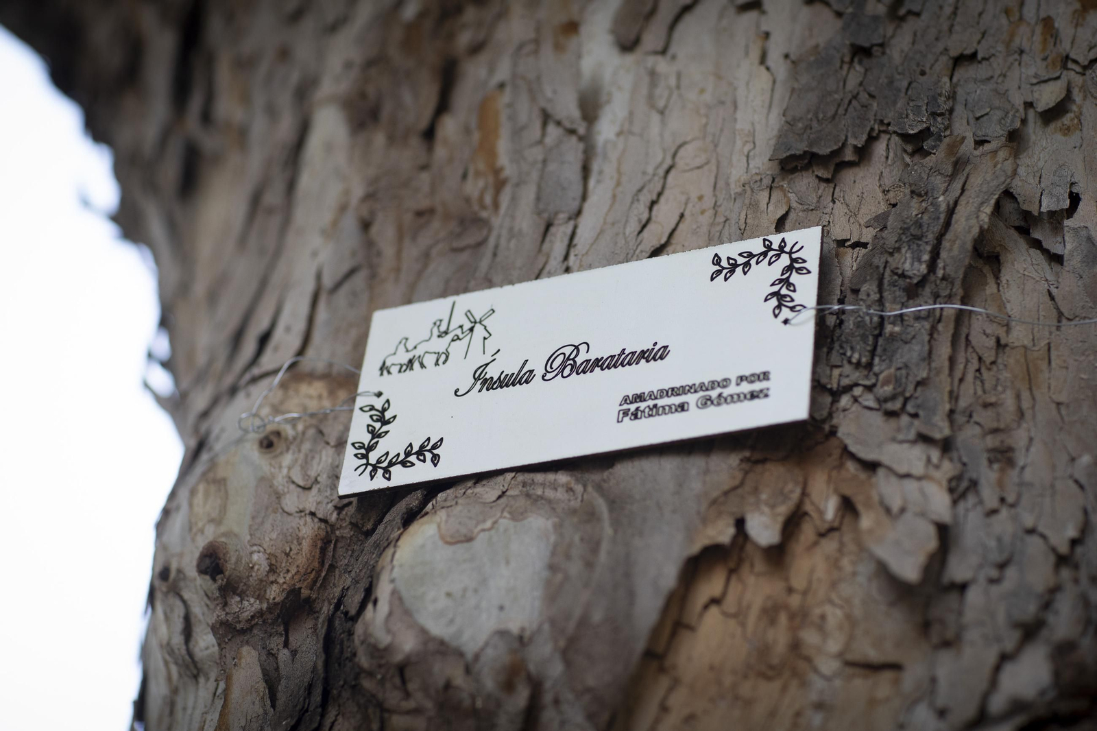 Vecinos de la Avenida de Cervantes de Granada amadrinan sus árboles para evitar la tala