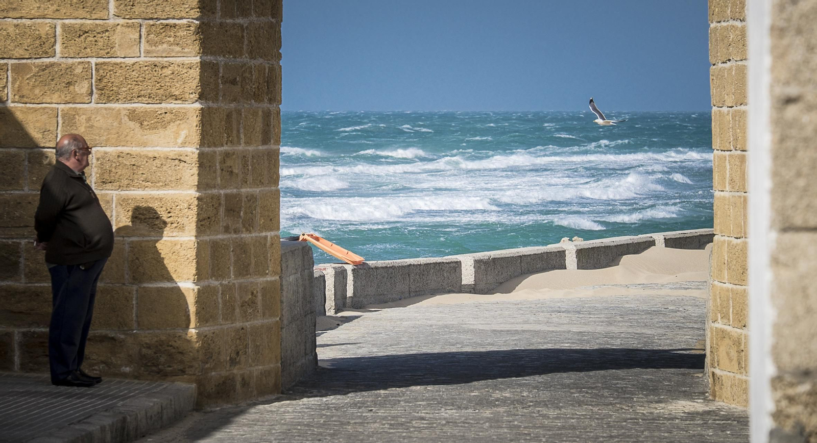 Efectos del temporal de levante en Cádiz