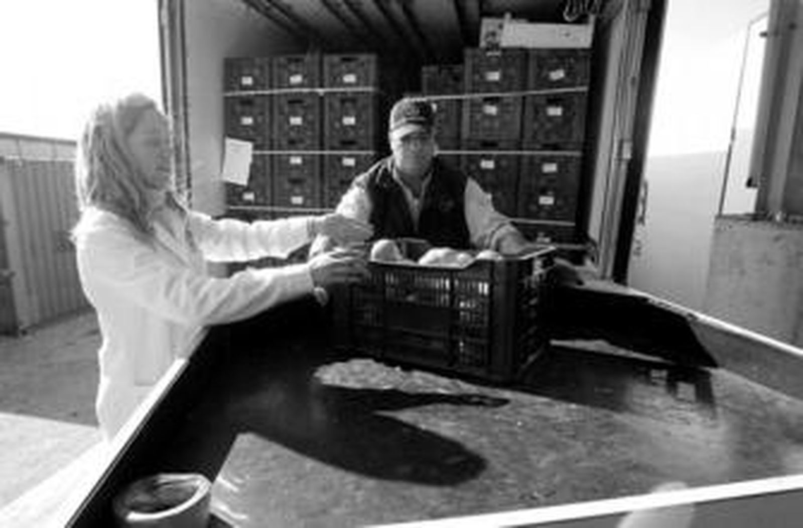 1. La inspectora de Sanidad Vegetal, a punto de examinar un cargamento de naranjas para Canarias. 2. Personal de Sanidad Exterior se dispone a certificar la salubridad de un cargamento de dulce de leche llegado de Argentina. 3. El veterinario de Sanidad Animal, comprobando que alimentos que pretenden entrar desde terceros países para consumo animal no tienen sustancias prohibidas y cumplen los requisitos./fotos: kiki