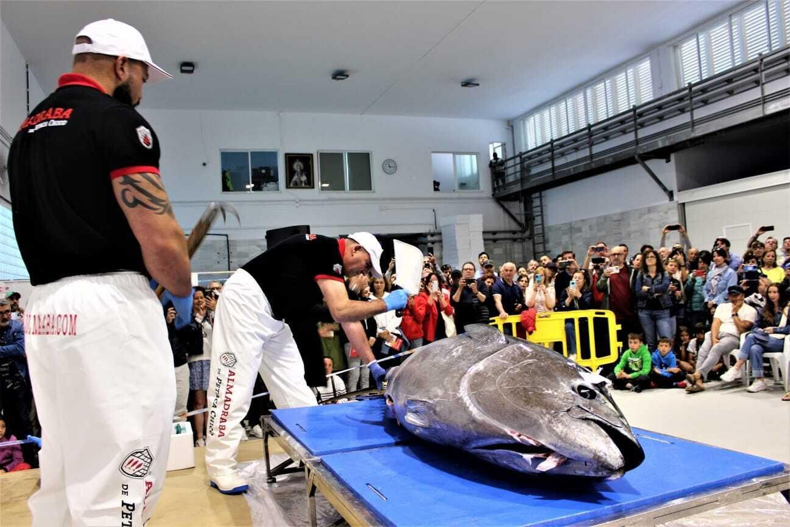 La Feria del Atún de Barbate 2024, en imágenes: ronqueo y showcooking entre tapas del mejor atún