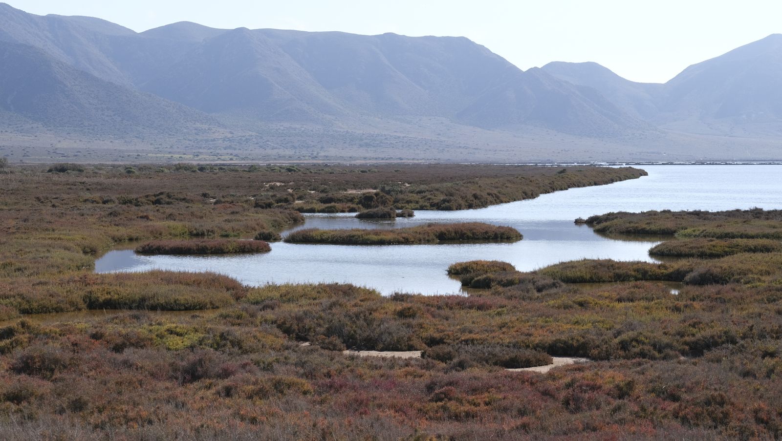 Imágenes de las Salinas de Cabo de Gata con agua otra vez