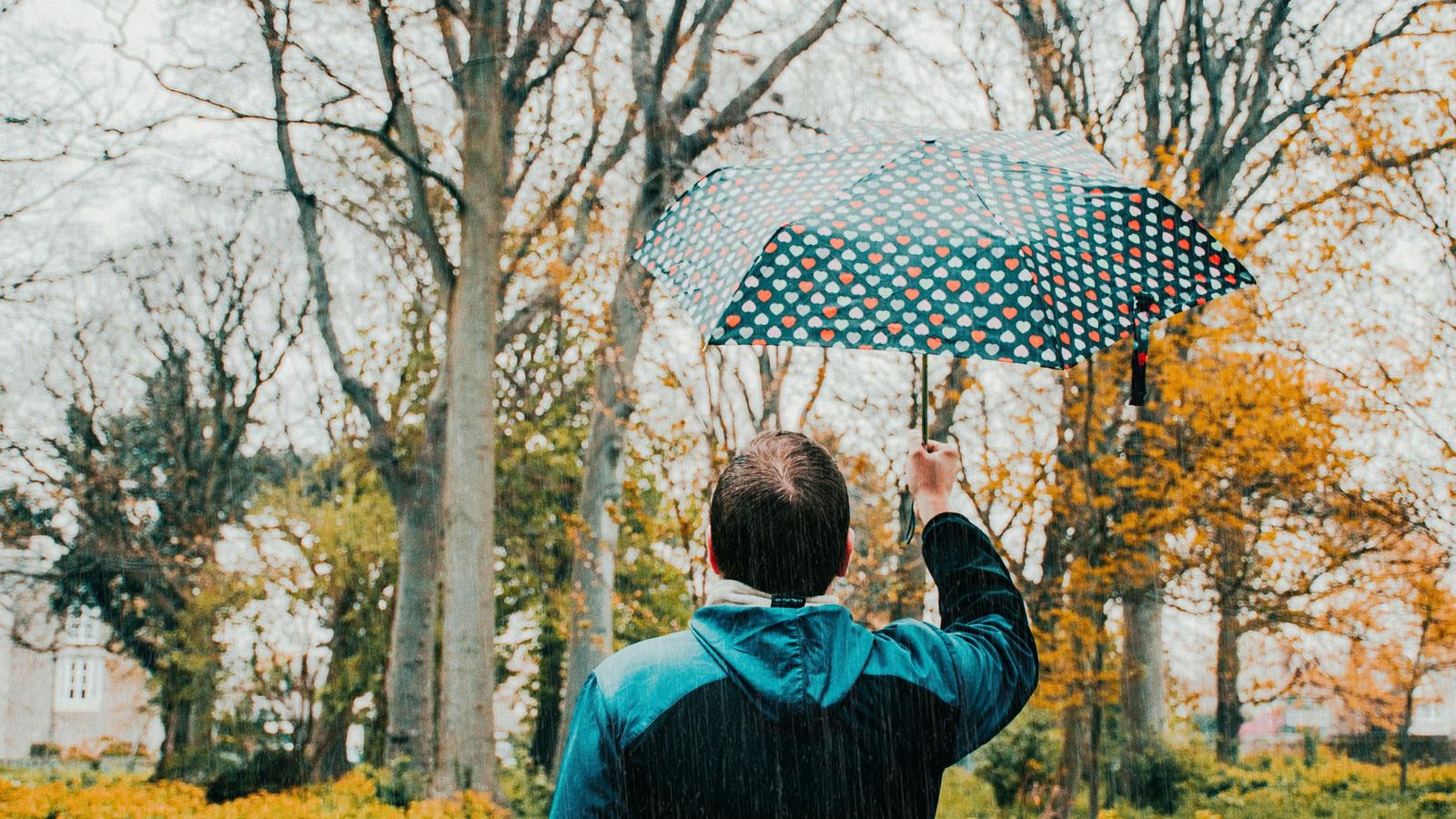 Los paraguas más Top