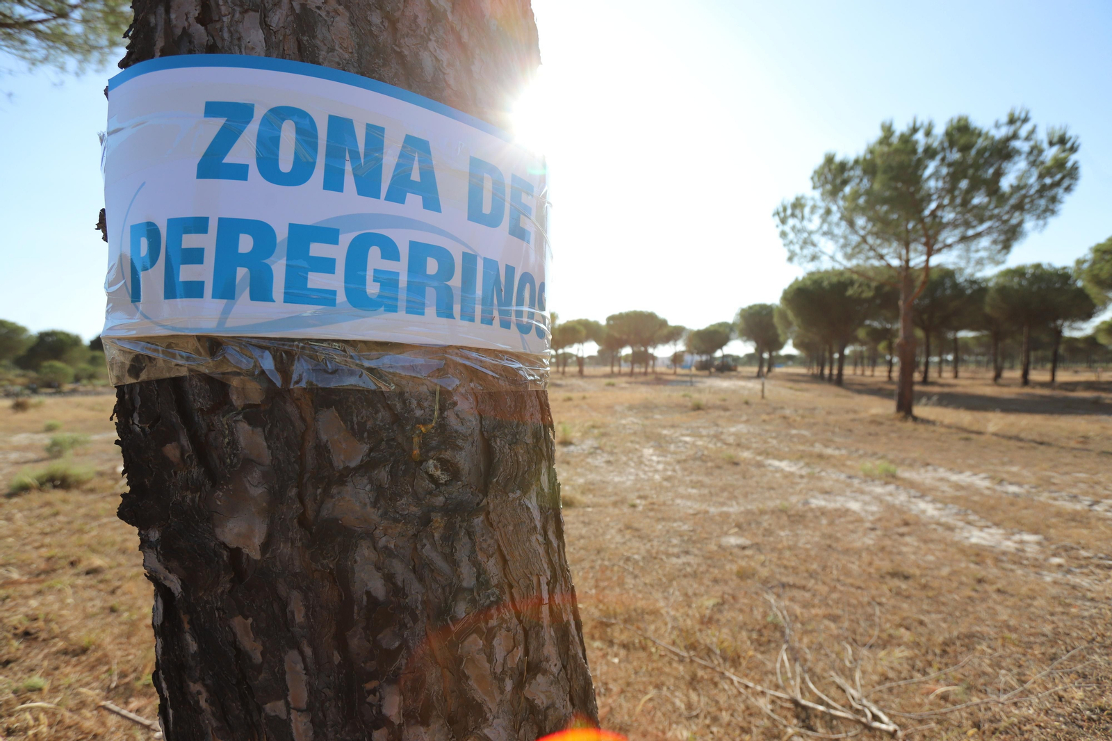 Imágenes del estado en el que se encuentran los caminos del Rocío para la Romería 2023