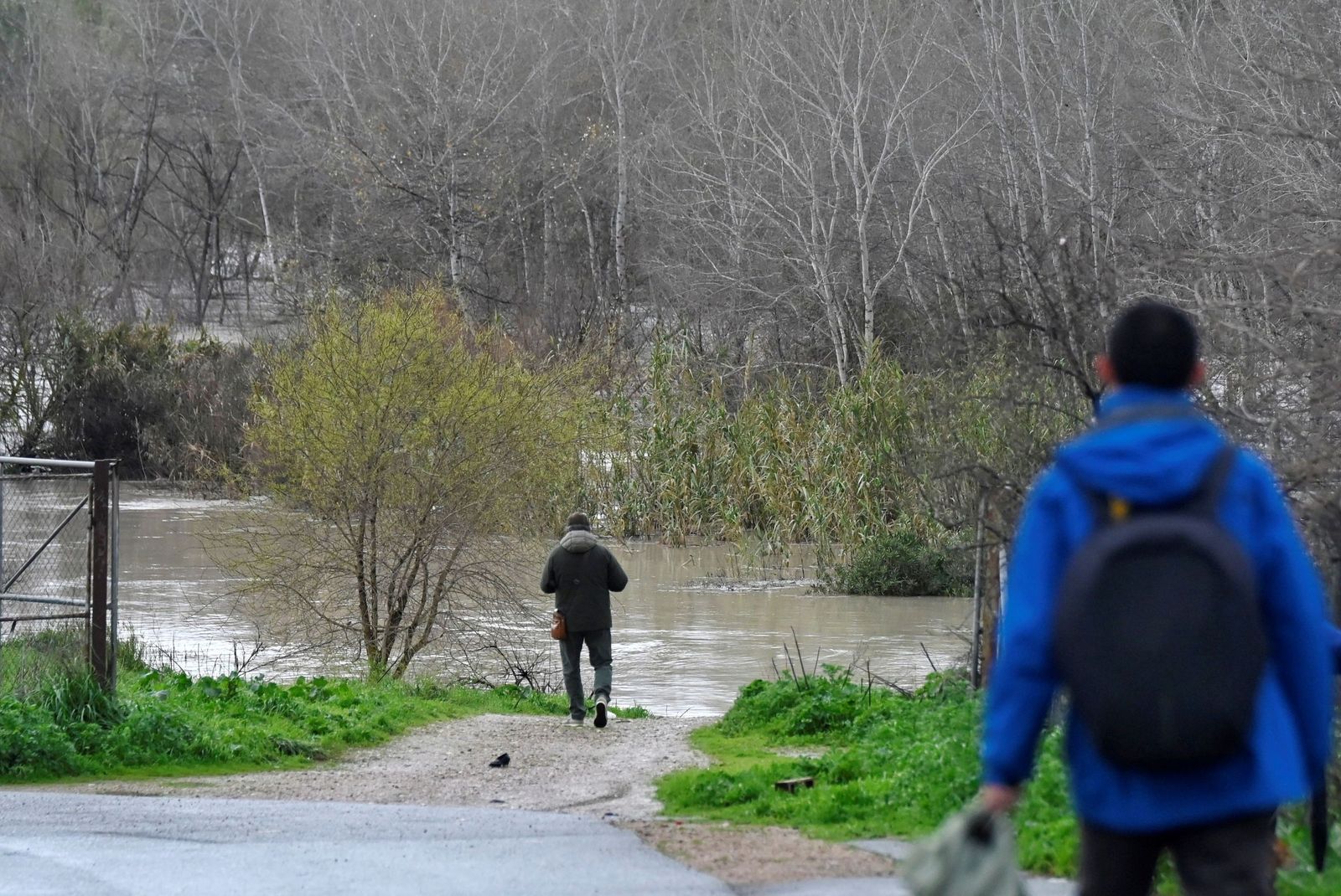 La impresionante crecida del río Guadalquivir: se acerca a los 6 metros a su paso por Córdoba