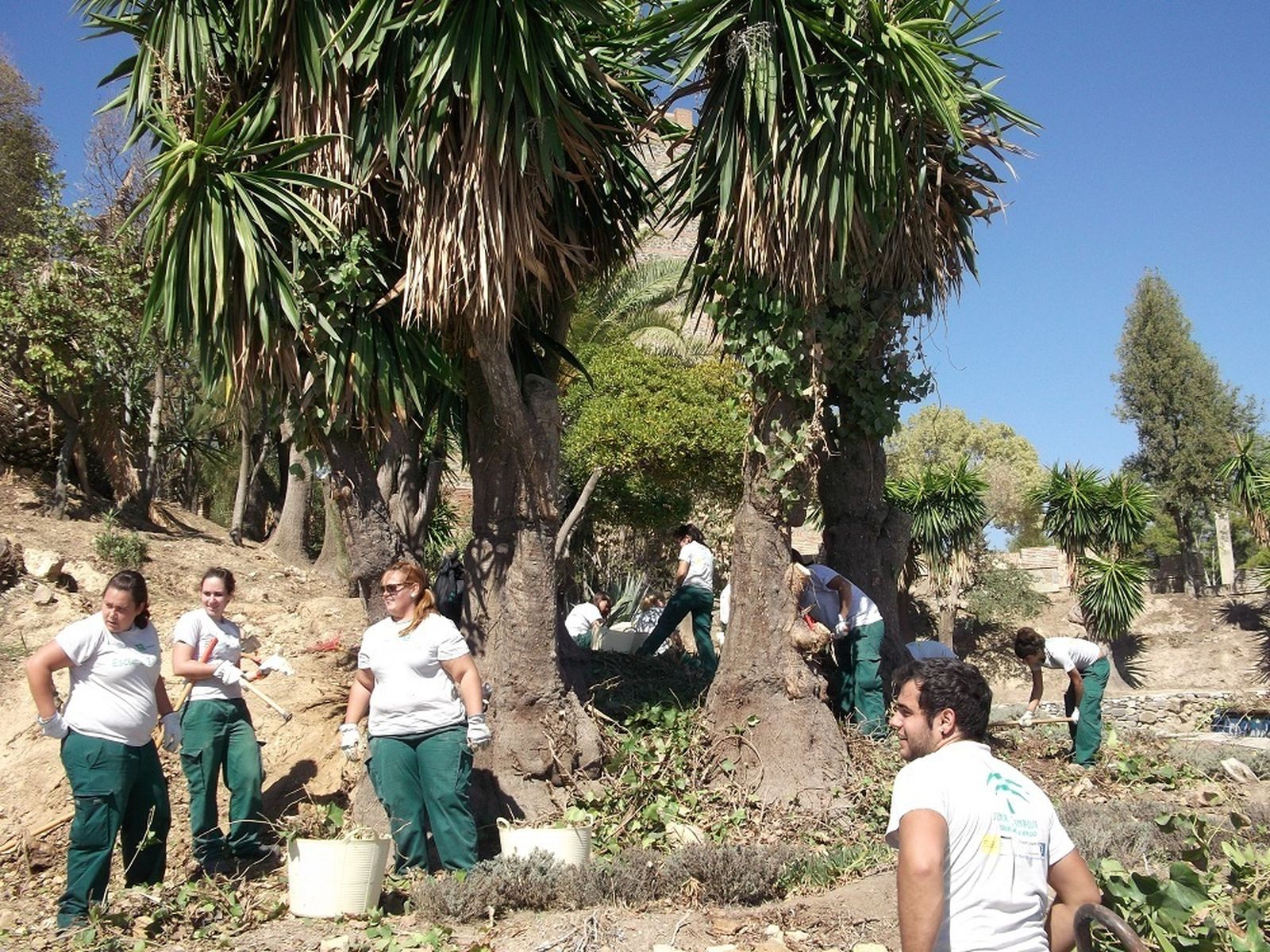 Imagen de archivo de actuaciones en LA Forteleza