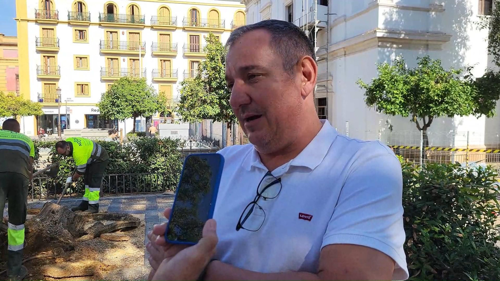 Parques y Jardines explica la actuación urgente en la arboleda de Plaza de la Concordia