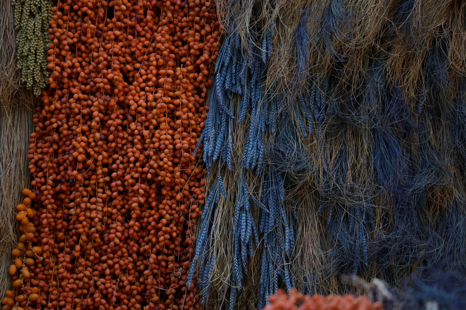 Las creaciones de los artistas de Flora, en imágenes