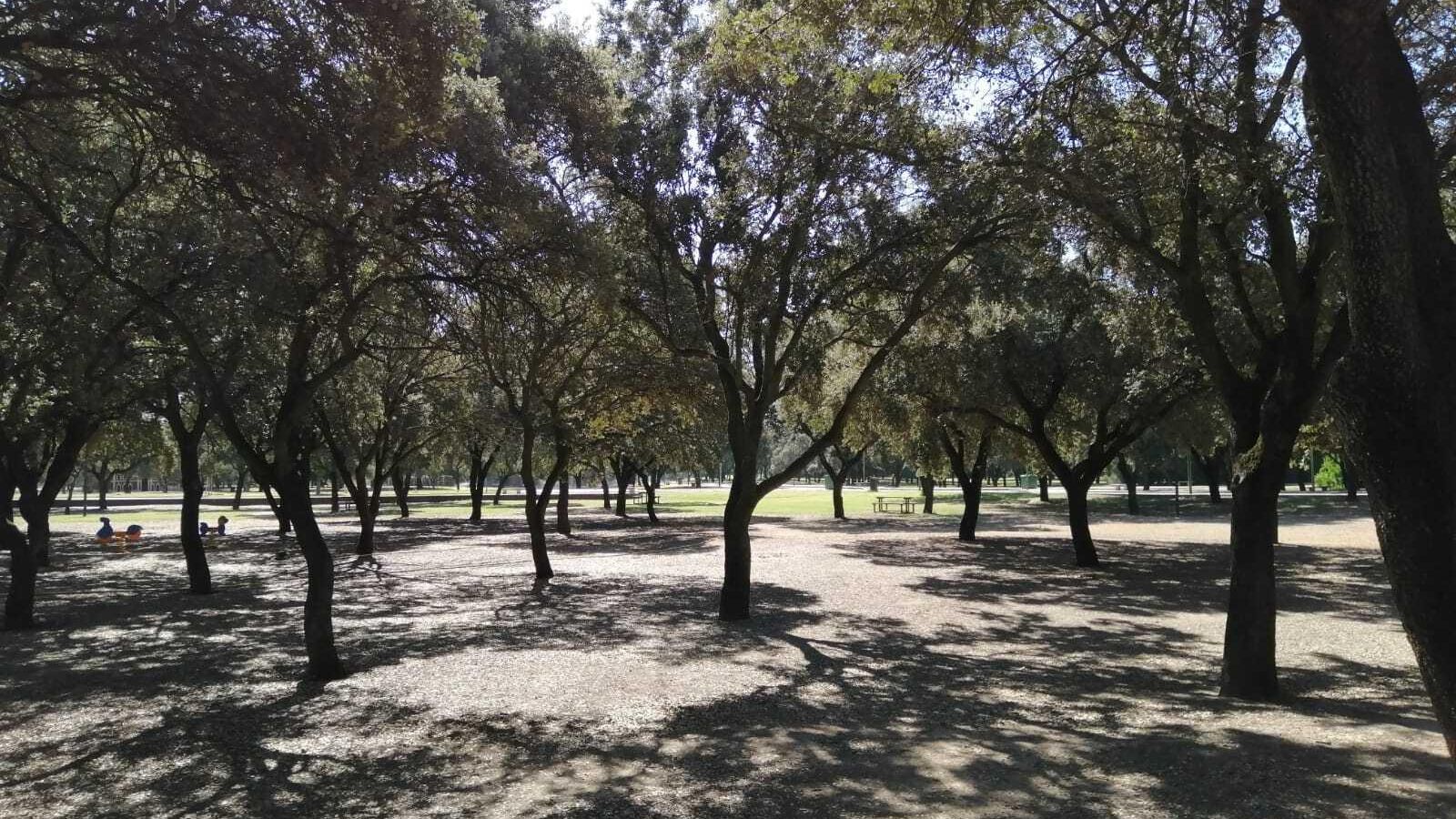 Zona donde se instalarán juegos infantiles en el Parque del Alamillo.