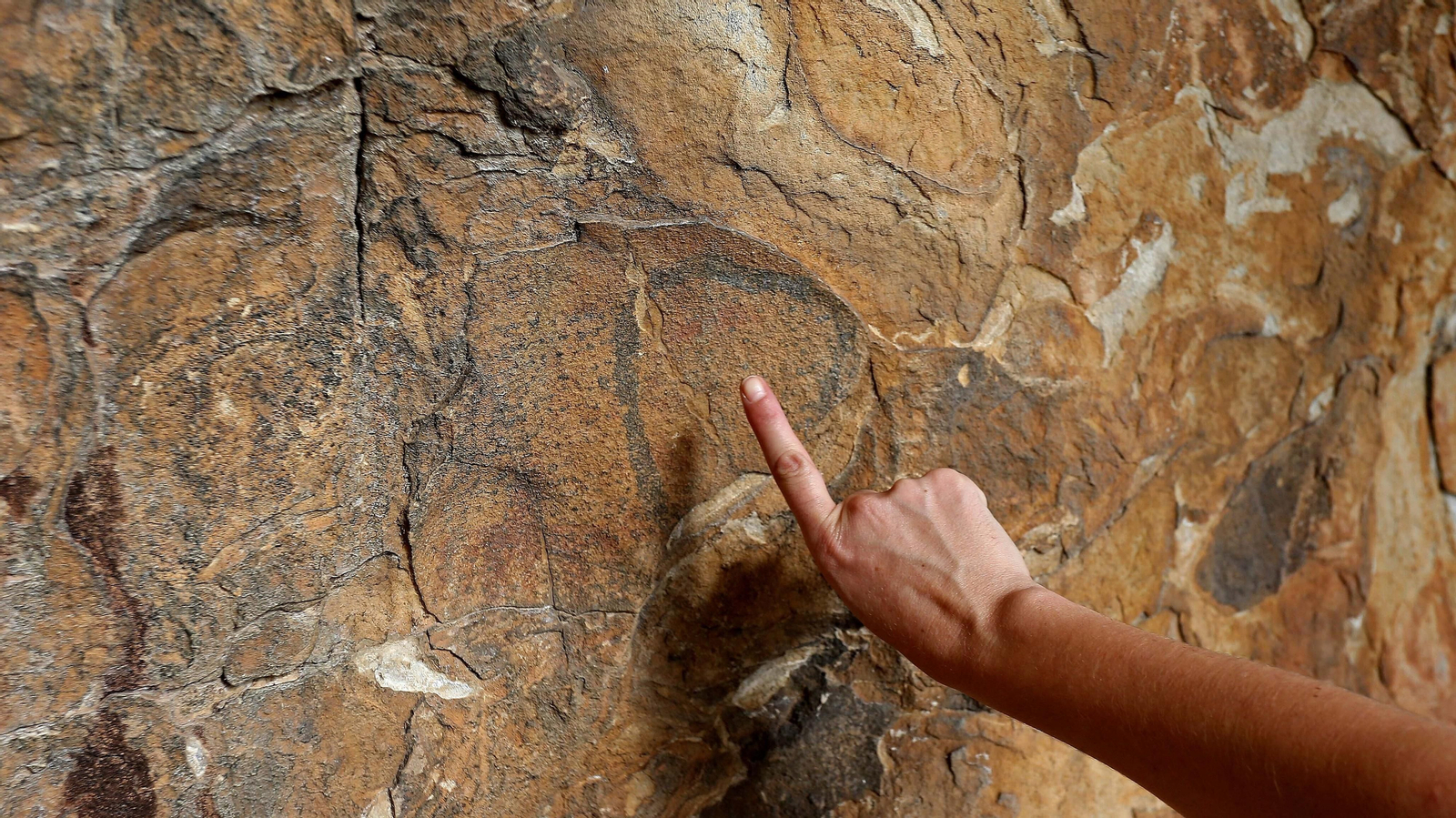 Las mejores fotos de la cueva de la Laja Alta