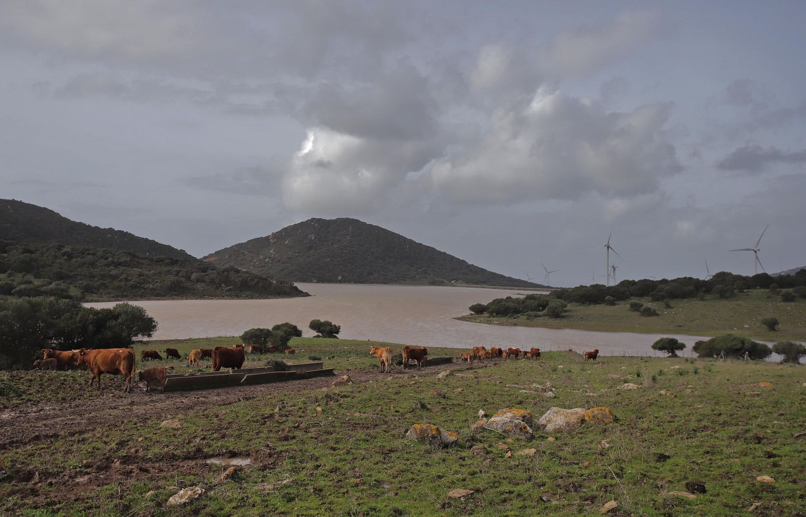 Fotos del embalse de Almodóvar en Tarifa
