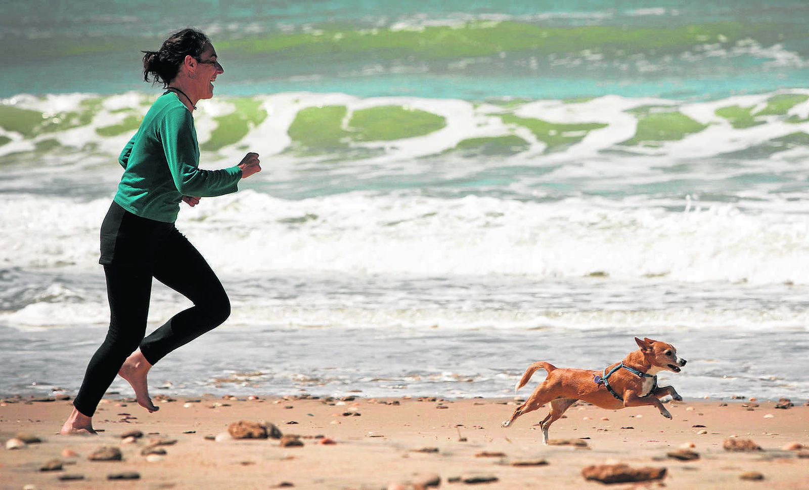Una mujer juega con su perro en la playa.