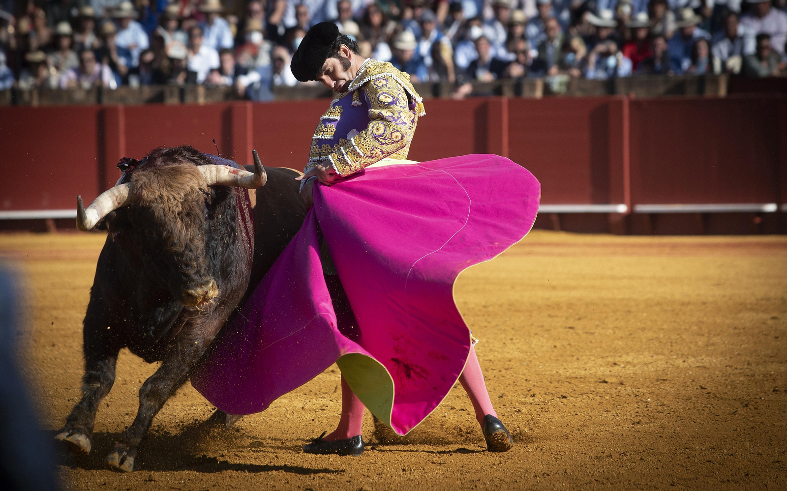 Las mejores imágenes del duodécimo festejo de toros