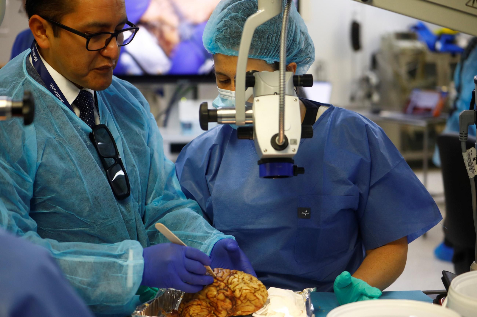 El curso en el que neurocirujanos del Hospital Reina Sofía estudian el cerebro, en imágenes