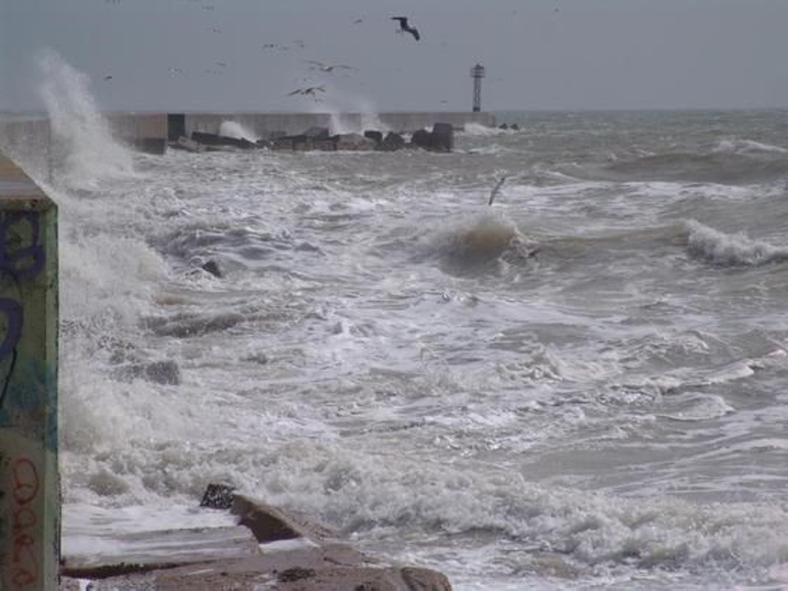 La crecida de los ríos provoca numerosas inundaciones en Huelva. / Reportaje fotográfico de Correa y Espinosa.