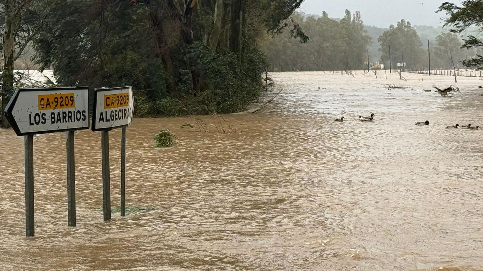 El río Palmones desborda y obliga a cortar la carretera entre Algeciras y Los Barrios.