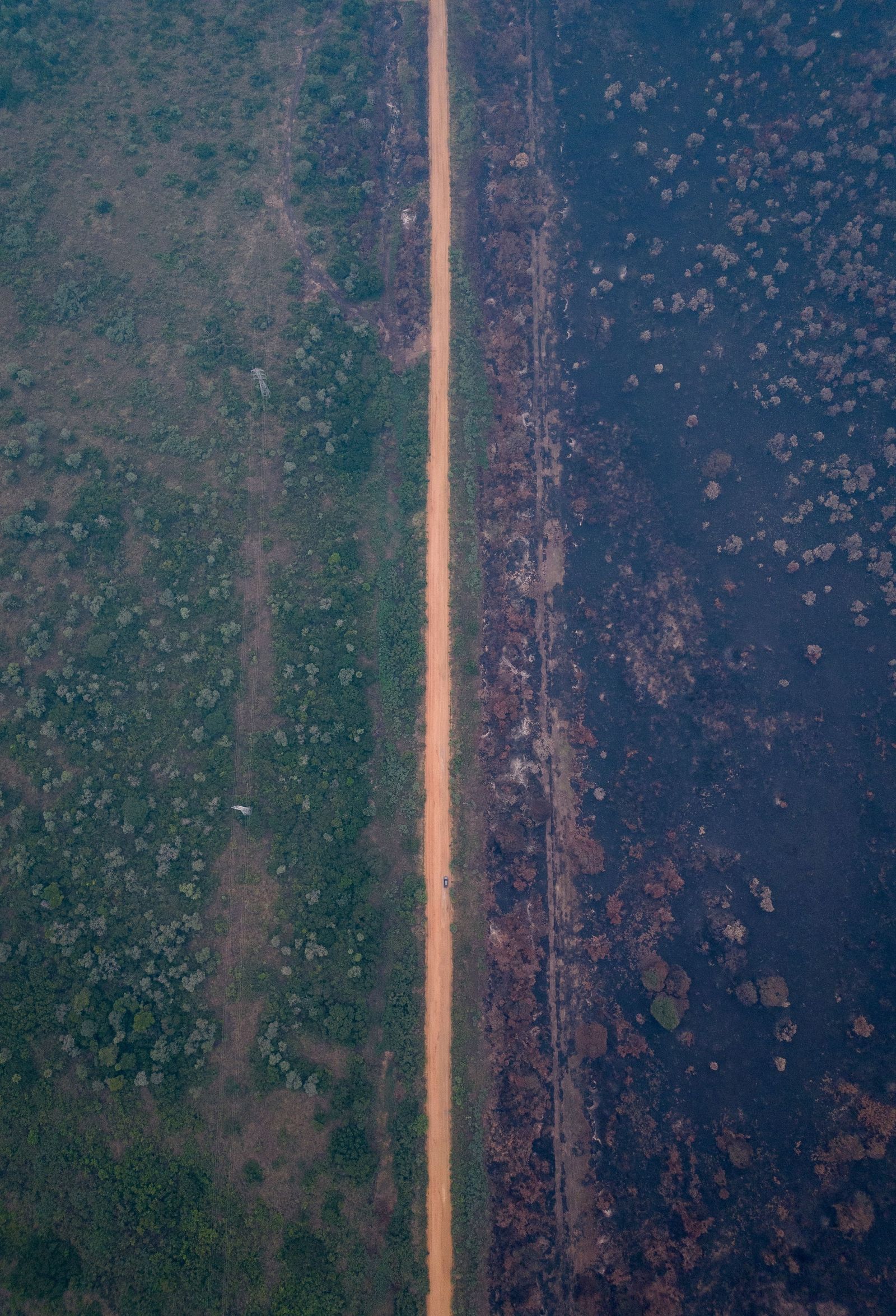 Las llamas convierten en una tumba al aire libre El Pantanal en Brasil