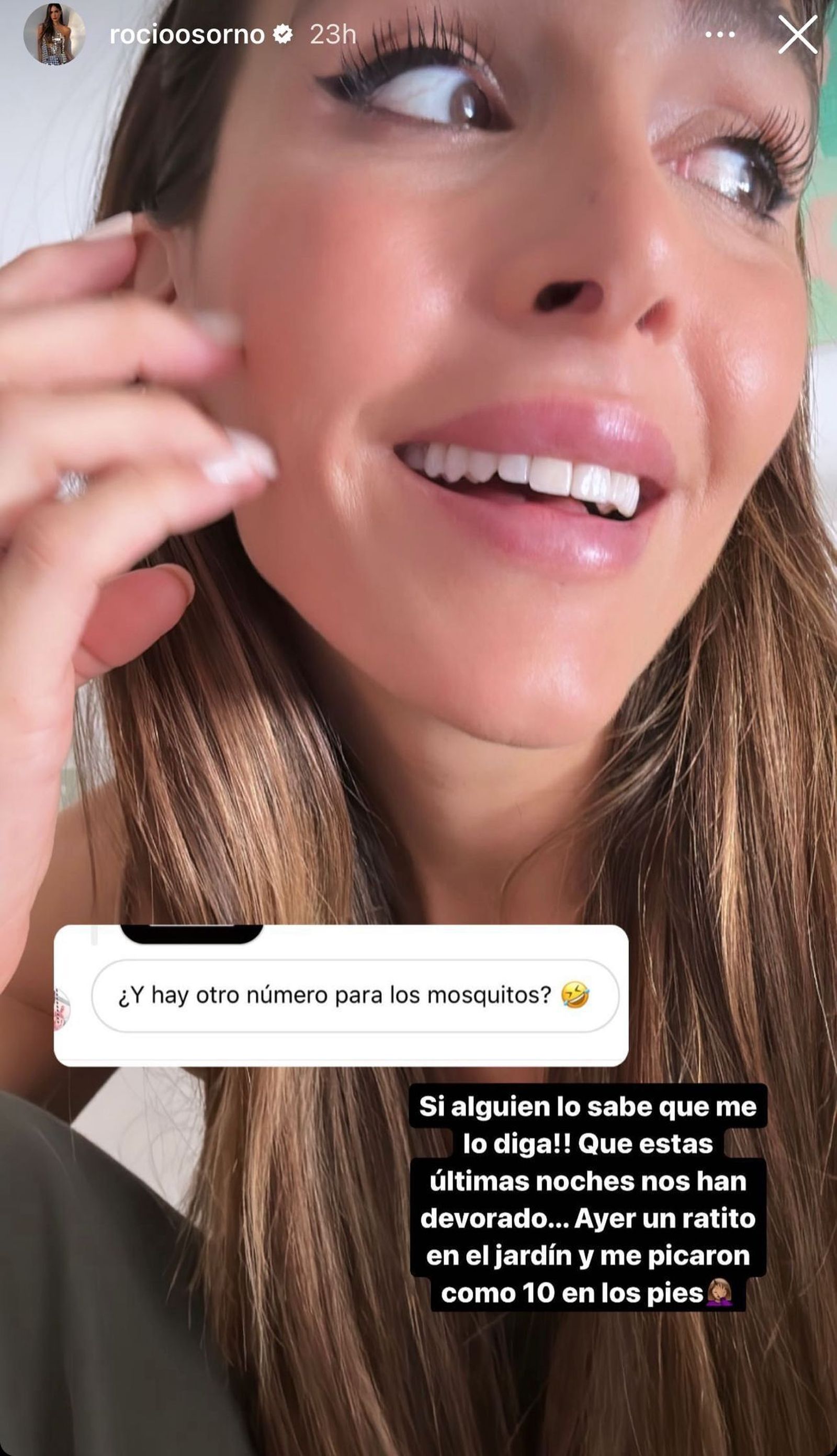 Rocío Osorno hablando sobre el efecto del número 58 en las moscas a través de sus stories de Instagram