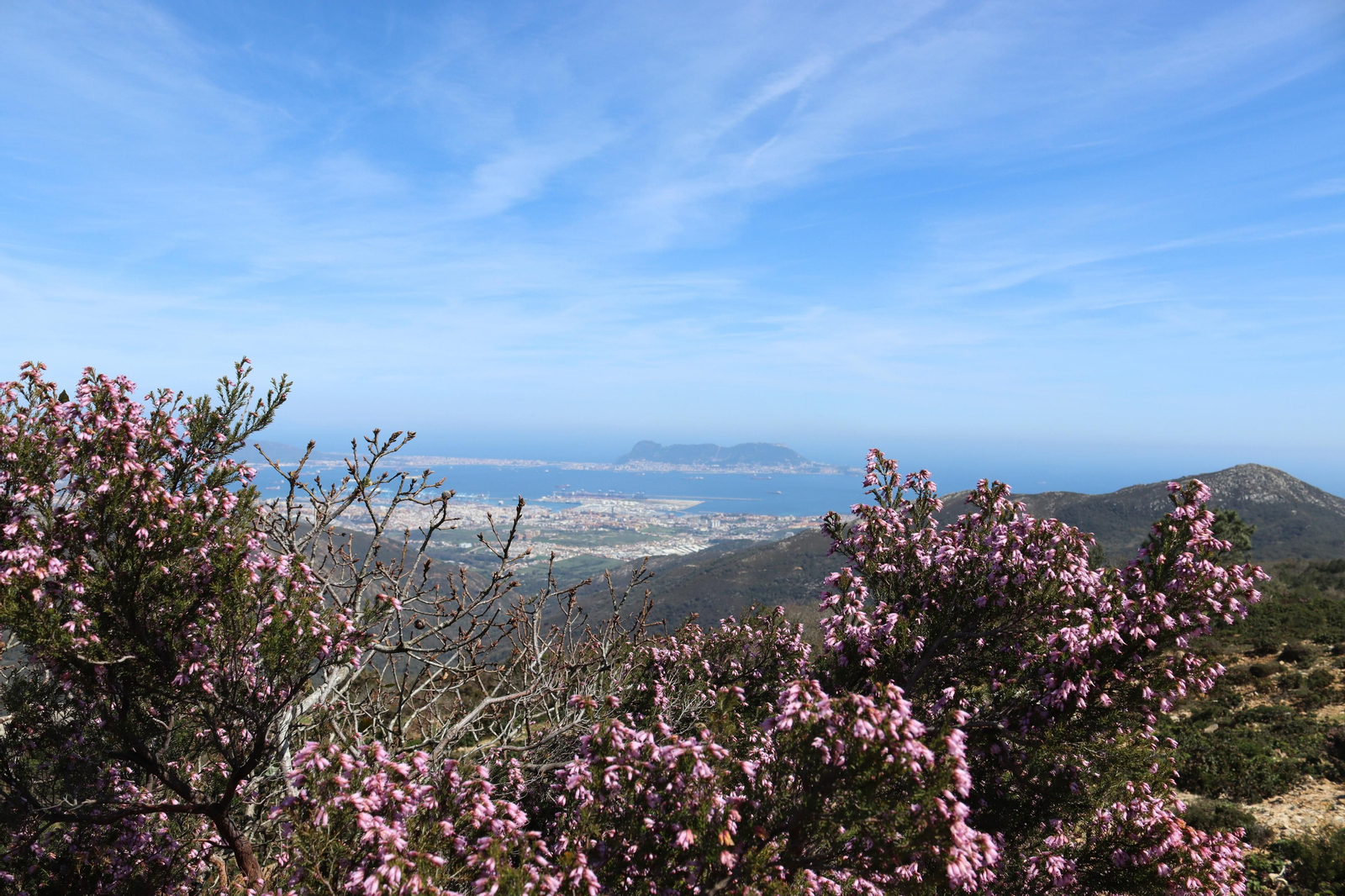 Fotos de la flora y fauna del Parque Natural de Los Alcornocales