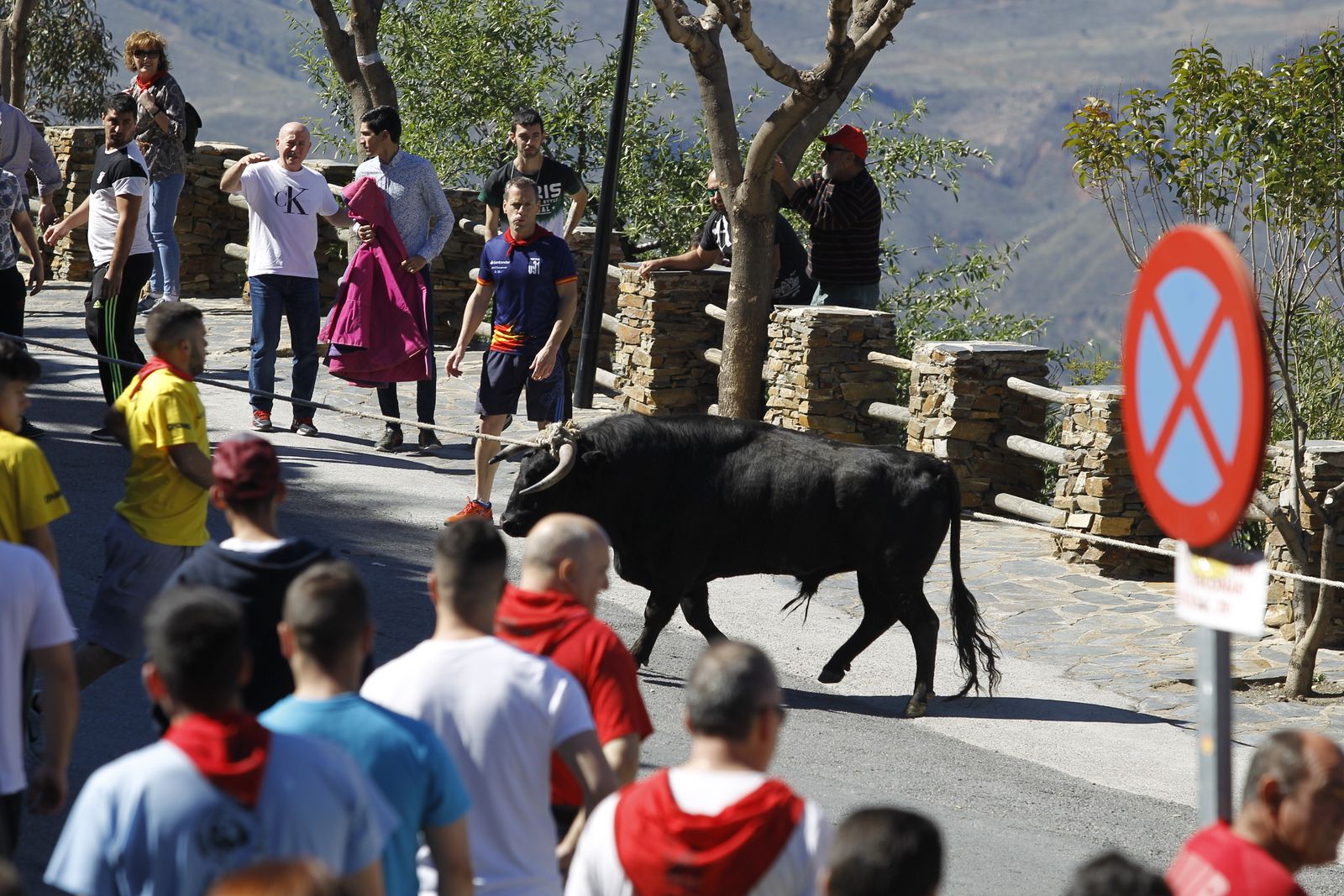 Fotogalería Tosos Ensogaos Ohanes. Fiestas San Marcos.