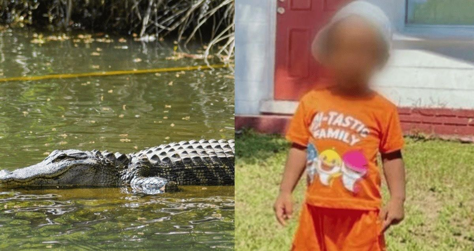 Encuentran el cuerpo de un niño de dos años en la boca de un caimán