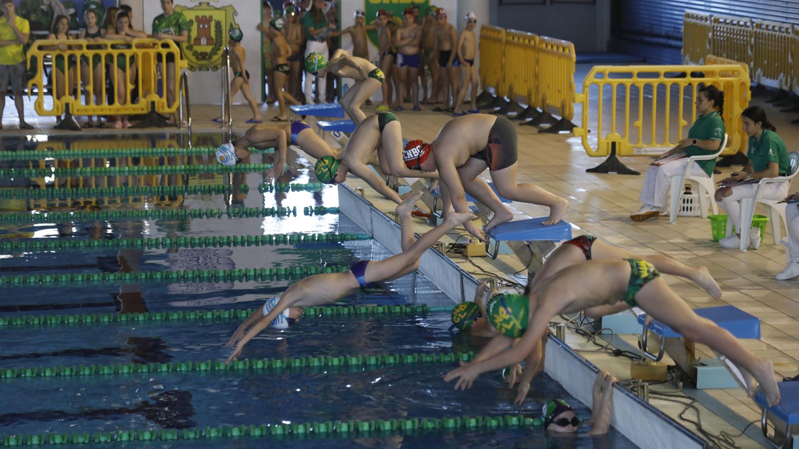 Las fotos del torneo de natación en Los Barrios