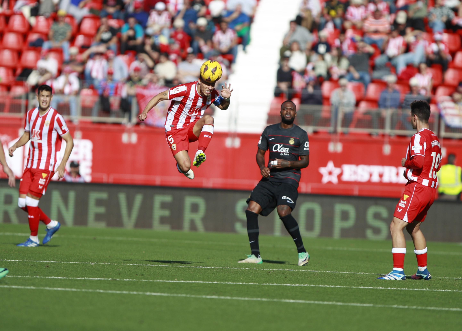 Imágenes del partido U.D. Almería-R.C.D. Mallorca