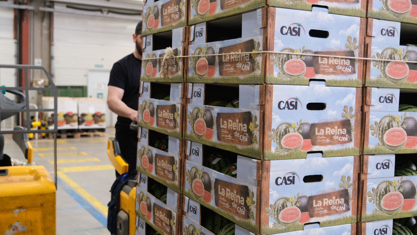 La IA llega a CASI, en imágenes