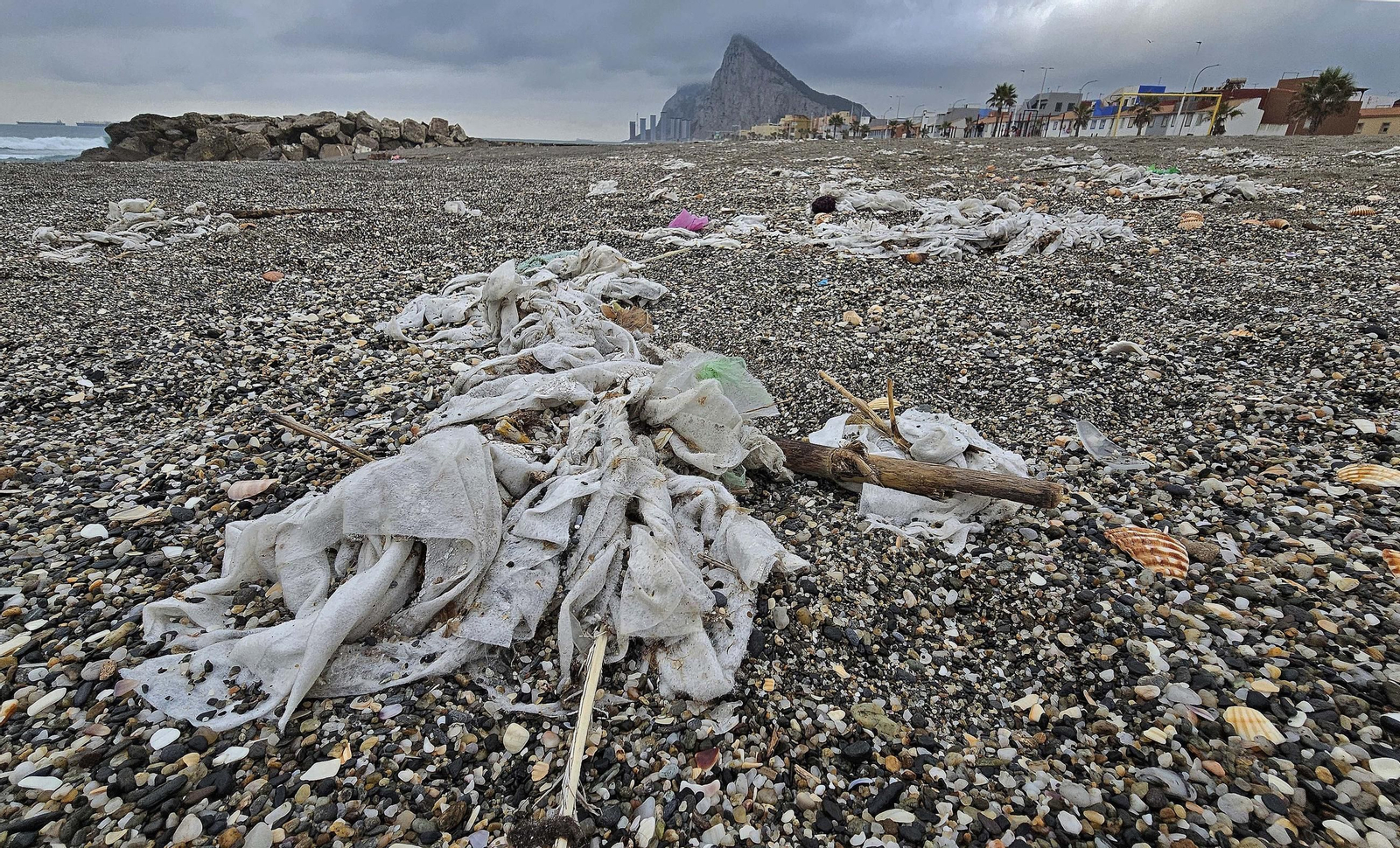 Las toallitas acumuladas en la playa de Levante de La Línea, en imágenes