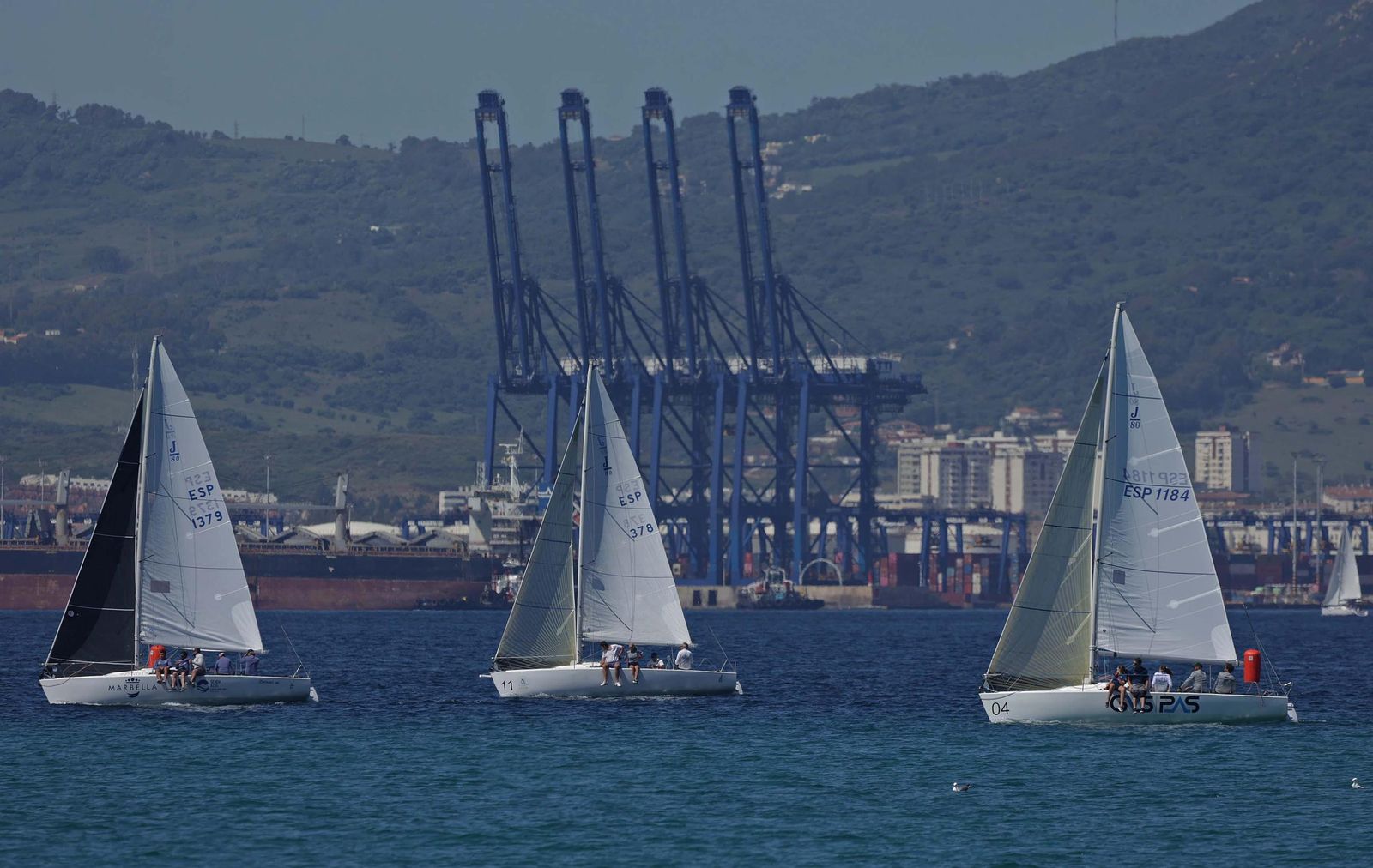 Fotos de la jornada del domingo del Campeonato Andaluz de vela categoría J80 en La Línea