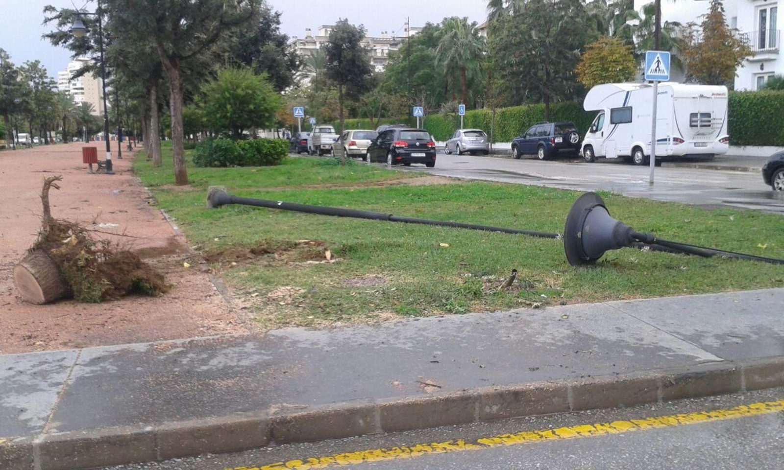 El mobiliario urbano como farolas o contenedores se ha visto dañado de forma importante.

Foto: R. Garrido
