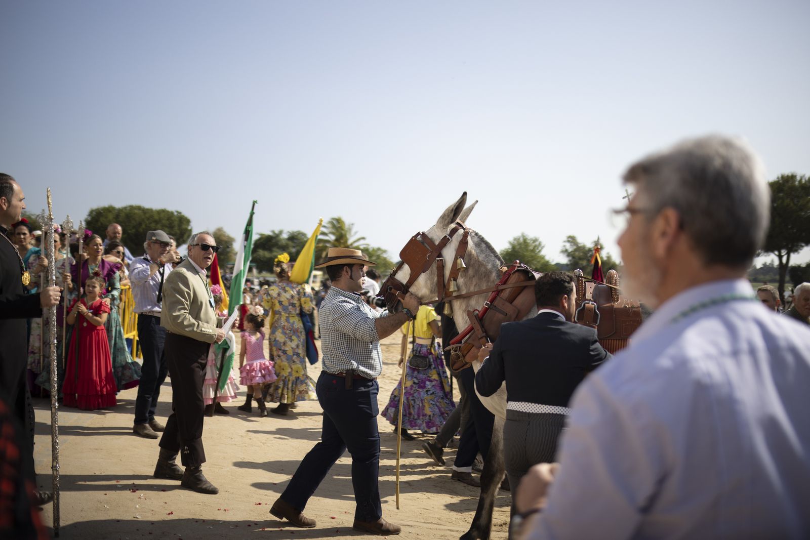 El Rocío 2023: Imágenes de la presentación de las Hermandades y ambiente en la aldea