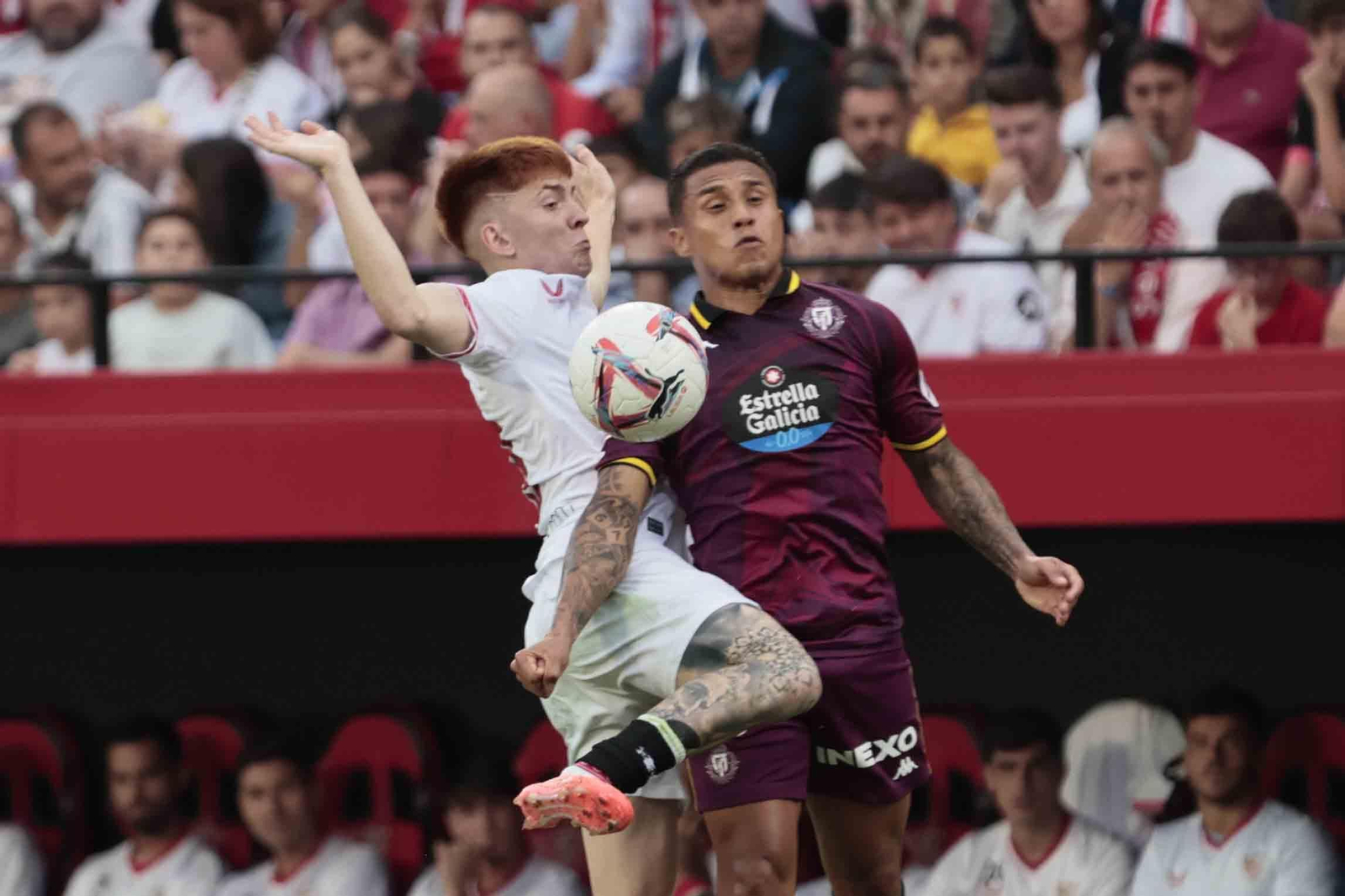 Las imágenes del Sevilla - Valladolid