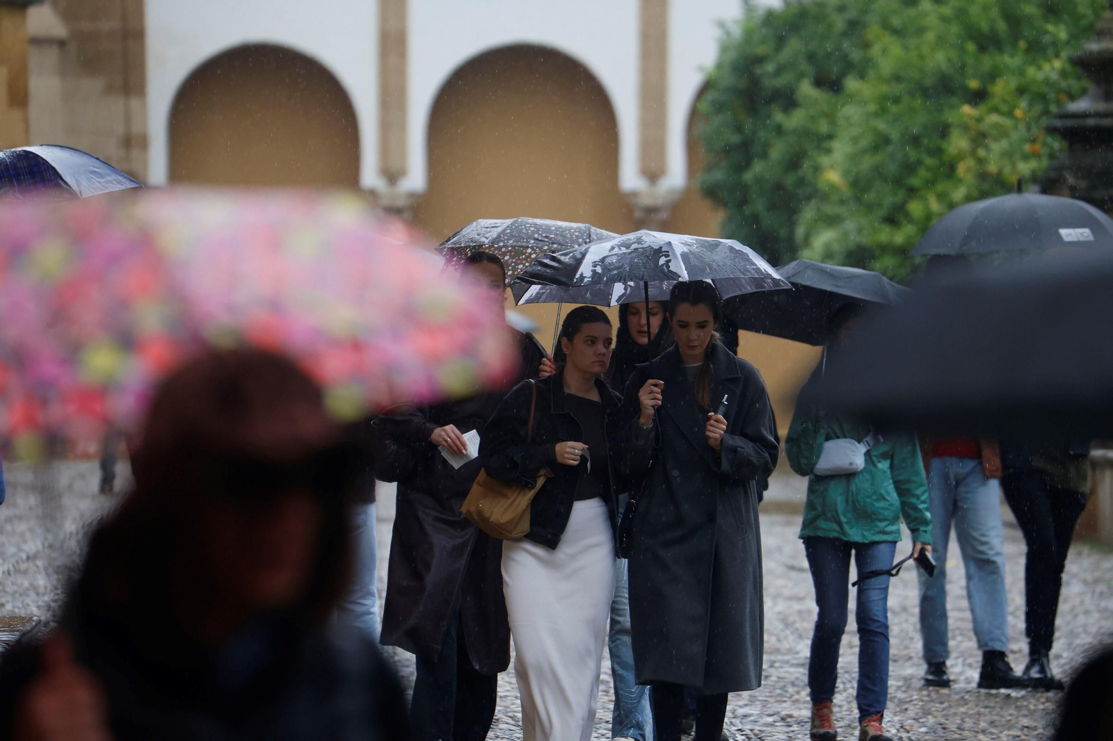Turistas con paraguas en el Patio de los Naranjos.