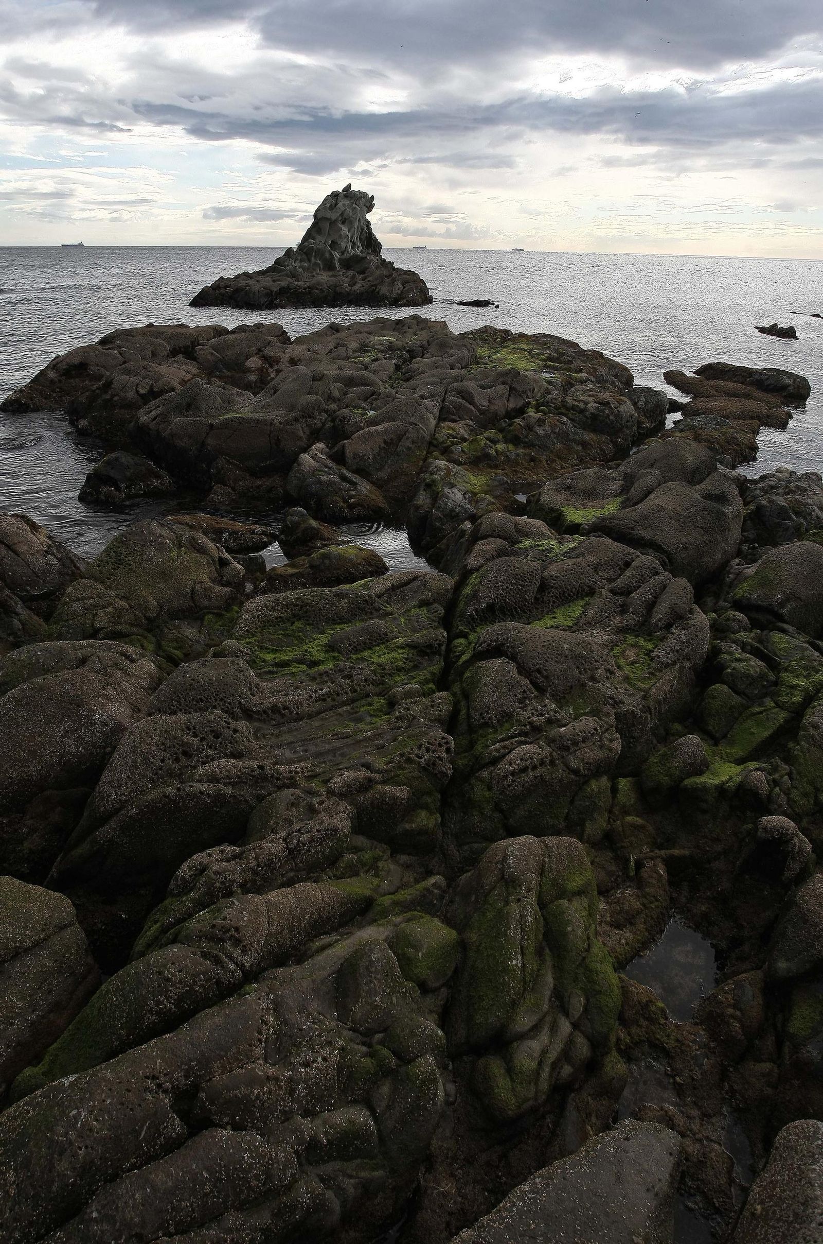 Flysh del Campo de Gibraltar, en imágenes