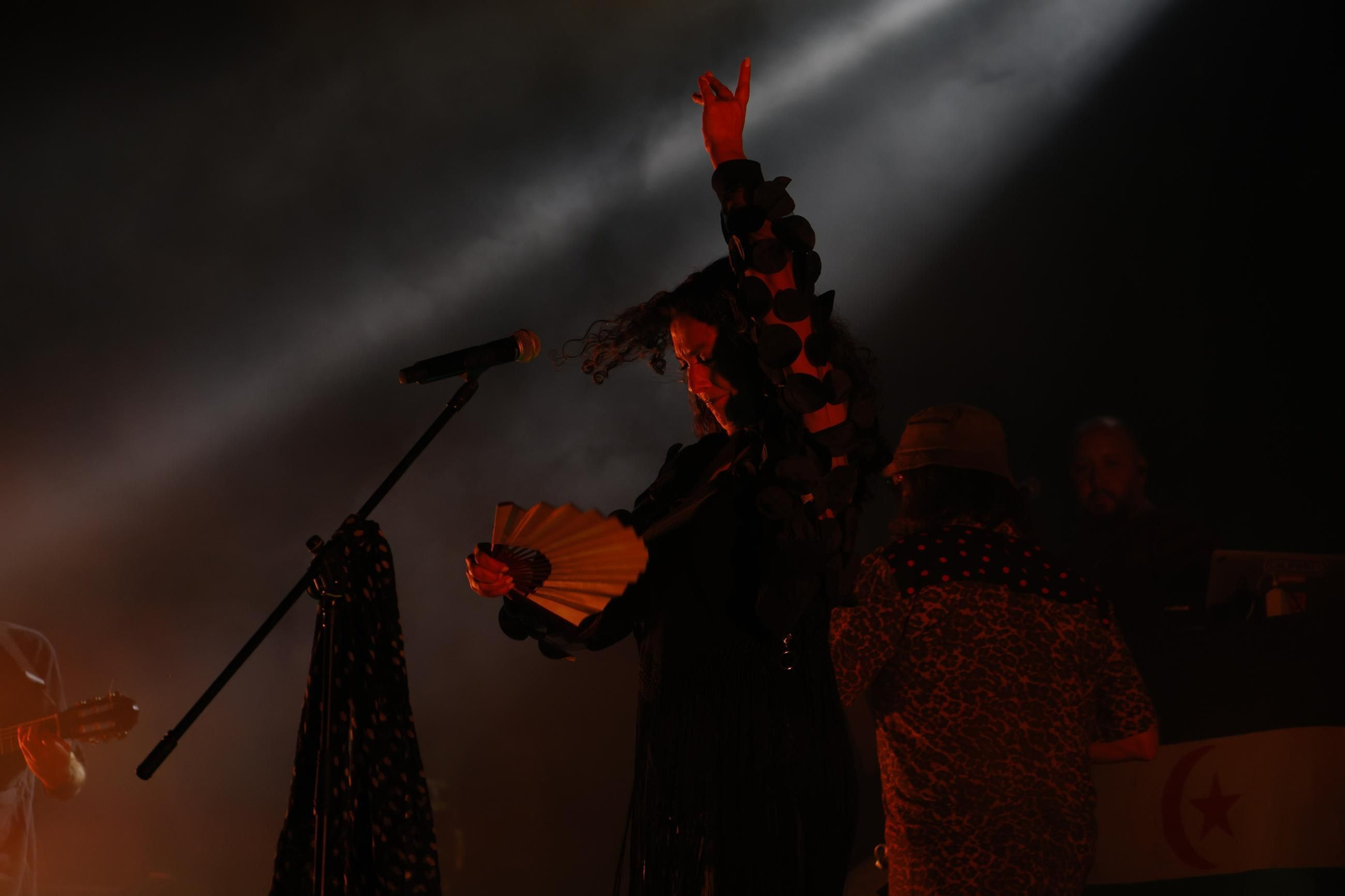 Las mejores imágenes de la Noche Blanca del Flamenco de Córdoba